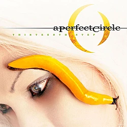 A Perfect Circle - Thirteenth Step CD