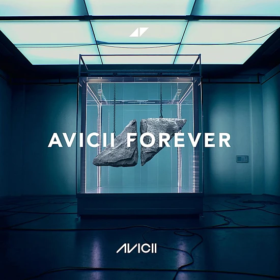 Avicii - Avicii Forever Plak 2 LP