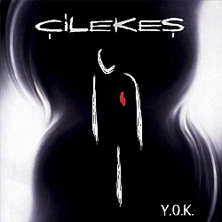 Çilekeş - Y.O.K. Plak LP