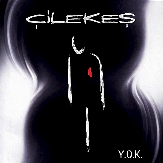 Çilekeş - Y.O.K. Plak LP