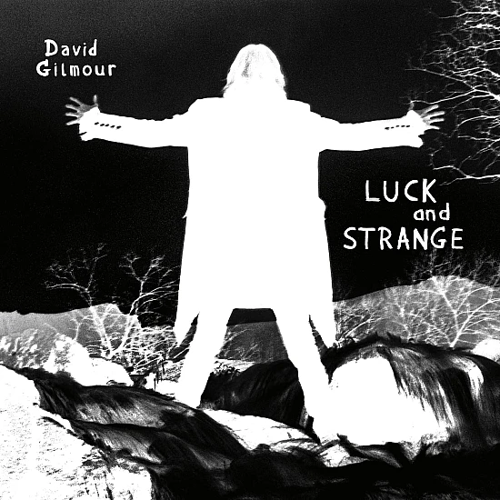 David Gilmour - Luck And Strange CD