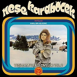 Neşe Karaböcek - Yeşilçam'dan Seçmeler Vol.2 Plak LP