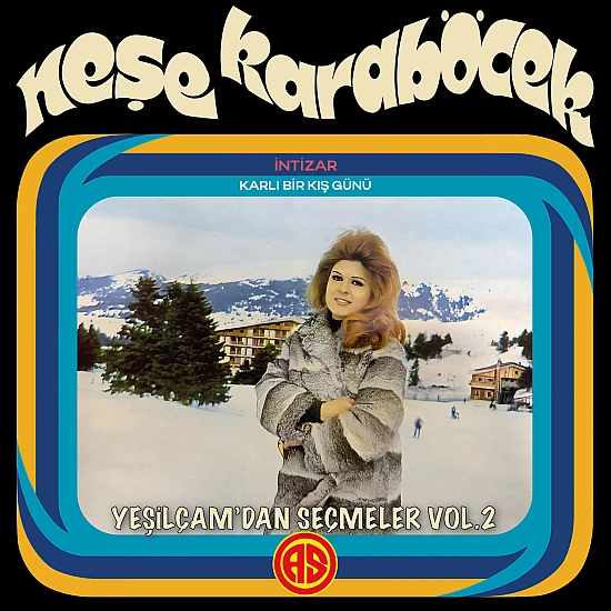 Neşe Karaböcek - Yeşilçam'dan Seçmeler Vol.2 Plak LP