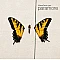 Paramore - Brand New Eyes CD
