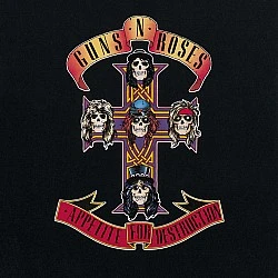 Guns N' Roses - Appetite For Destruction Plak LP