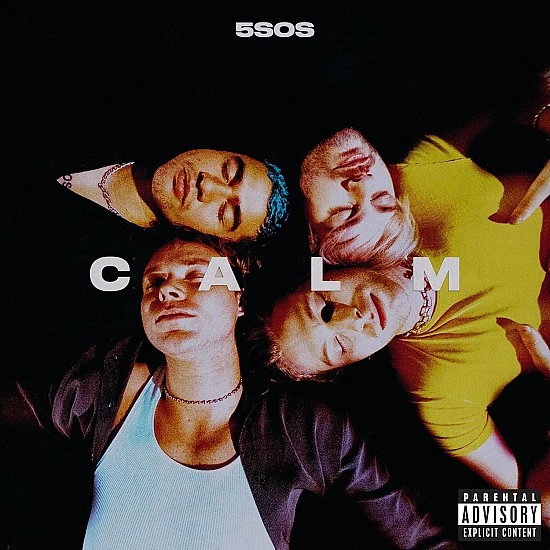 5 Seconds of Summer - Calm Plak LP