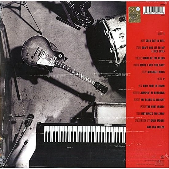 Gary Moore - After Hours Plak LP