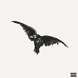 Conan Gray - Kid Krow, Decomposed (White With Black Splatter) Plak LP