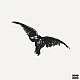 Conan Gray - Kid Krow, Decomposed (White With Black Splatter) Plak LP
