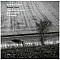 Avishai Cohen - Naked Truth Plak LP