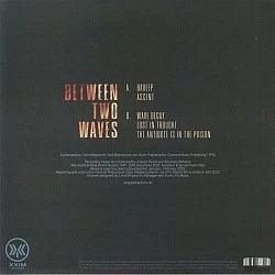 GoGo Penguin - Between Two Waves (Clear - Şeffaf Renkli) Plak EP