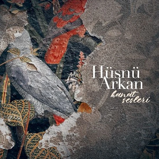 Hüsnü Arkan - Kanat Sesleri Plak LP