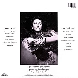 Kate Bush - Hounds Of Love Plak LP