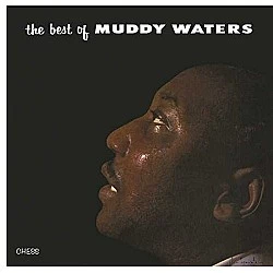 Muddy Waters - The Best Of Muddy Waters Plak LP
