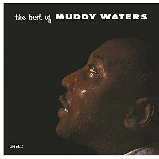 Muddy Waters - The Best Of Muddy Waters Plak LP