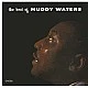 Muddy Waters - The Best Of Muddy Waters Plak LP
