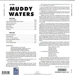 Muddy Waters - The Best Of Muddy Waters Plak LP