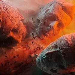 Muse - Will Of The People Plak LP