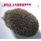 Nils Landgren - Sentimental Journey Caz Plak 2 LP