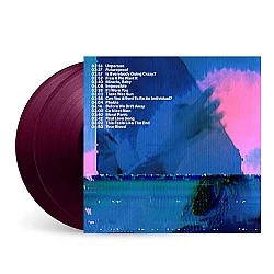 Nothing But Thieves - Moral Panic: The Complete Edition (Transparent Plum) Plak 2 LP