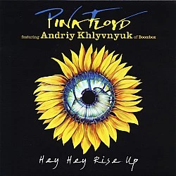 Pink Floyd - Hey Hey Rise Up 45lik Plak