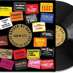 Raised By Rap: 50 Years Of Hip Hop Plak 2 LP