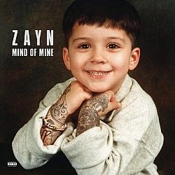 ZAYN - Mind Of Mine (Deluxe Edition) Plak 2 LP