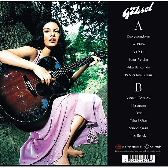 Göksel - 2001-2007 En İyileri Plak LP