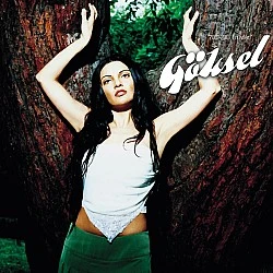 Göksel - 2001-2007 En İyileri Plak LP