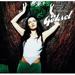 Göksel - 2001-2007 En İyileri Plak LP
