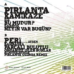 Nil Karaibrahimgil - Tek Taşımı Kendim Aldım Plak LP