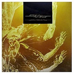 Tool - Fear Inoculum Plak 3 LP