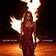 Celine Dion - Courage (Deluxe Edition) CD