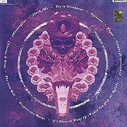 Baroness – Purple Plak LP
