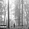 Taylor Swift - Folklore CD