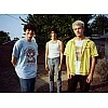 Wallows 