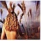 Sophie B. Hawkins ‎– Wilderness CD