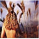 Sophie B. Hawkins ‎– Wilderness CD