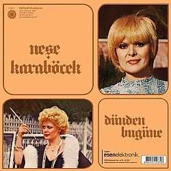 Neşe Karaböcek - Dünden Bugüne Plak LP