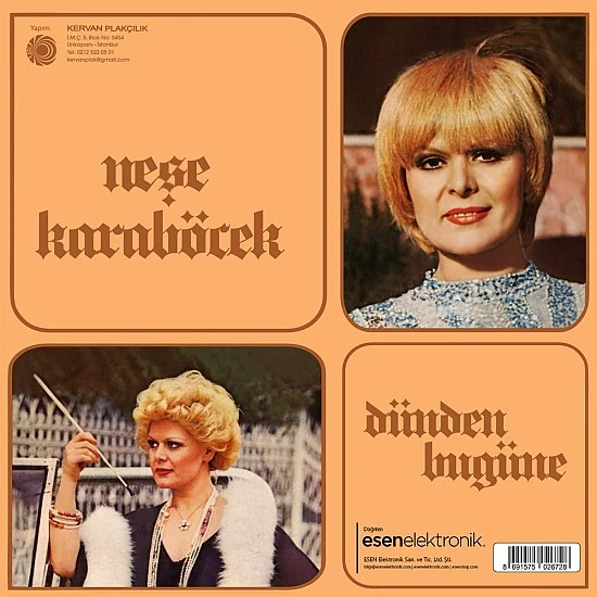 Neşe Karaböcek - Dünden Bugüne Plak LP