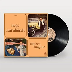 Neşe Karaböcek - Dünden Bugüne Plak LP