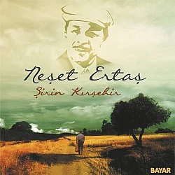 Neşet Ertaş - Şirin Kırşehir Plak LP