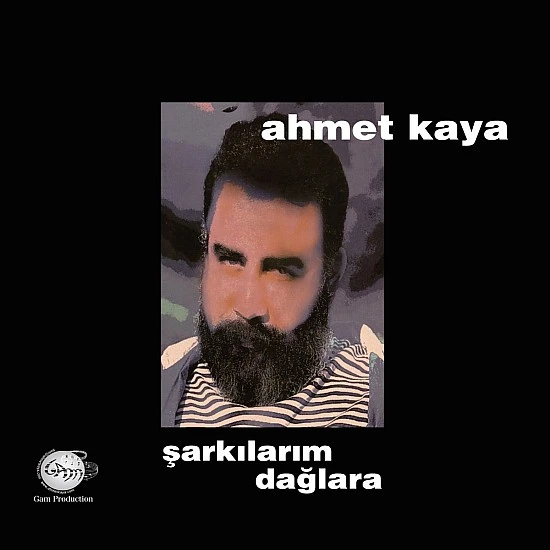Ahmet Kaya - Şarkılarım Dağlara Plak LP