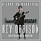 Roy Orbison - A Love So Beautiful Plak LP