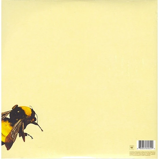 Tyler, The Creator - Scum Fuck Flower Boy Plak 2 LP