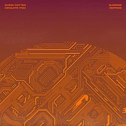 Chris Potter Circuits Trio - Sunrise Reprise Plak LP