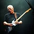 David Gilmour