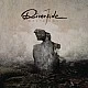Riverside - Wasteland CD