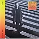 Sting - The Bridge (Deluxe) Plak 2 LP