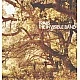 Travis - The Invisible Band Plak LP